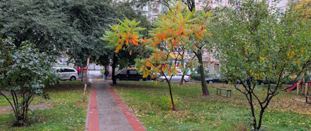 Осінь
