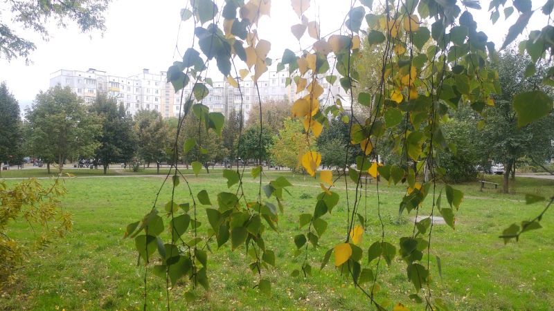 Осінь 2