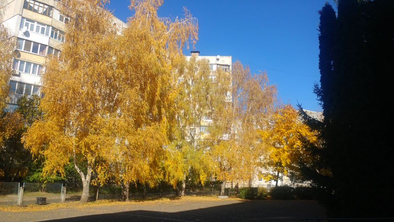Осінь 4