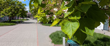 Літо