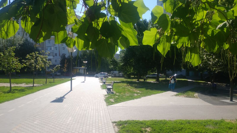 Літо 8