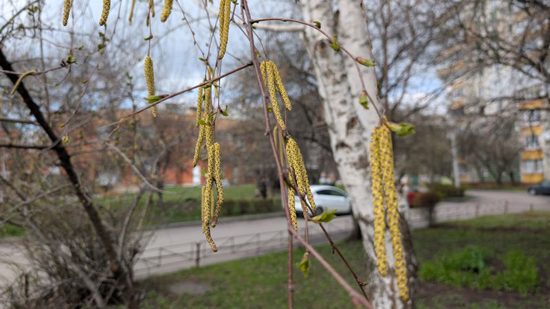 Весна 4