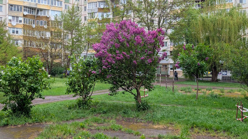 Весна 11