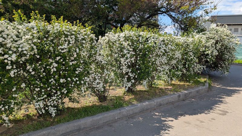 Весна 12