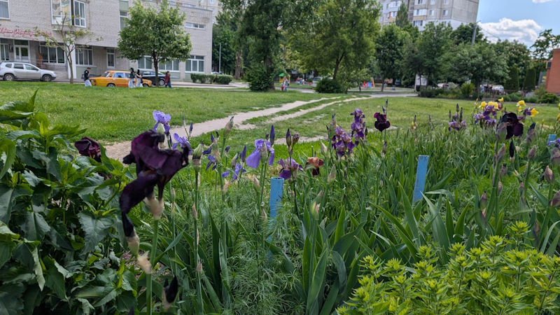 Весна 13