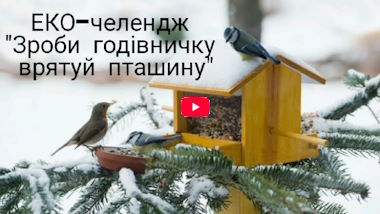 Годівнички