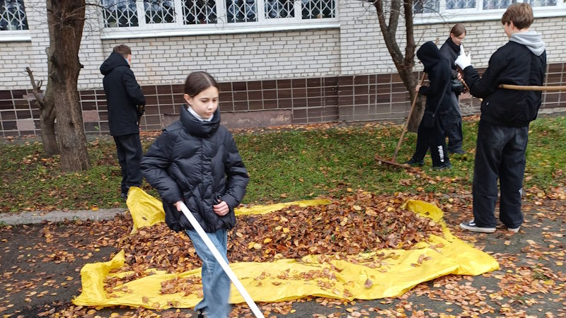 Листопад - 5