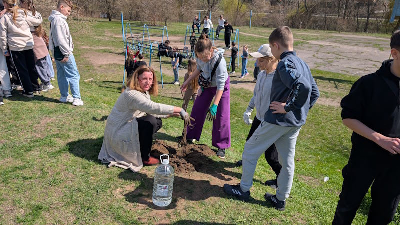 Дерева-2