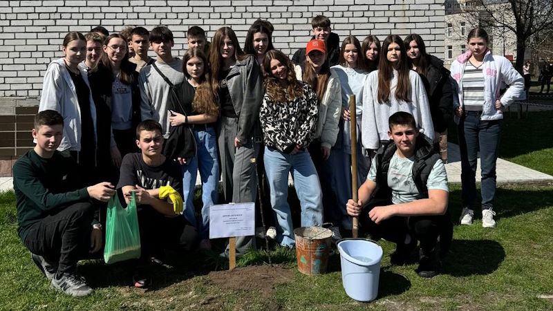 Дерева-12