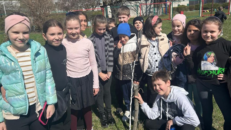 Дерева-14