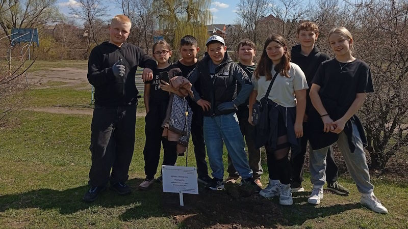 Дерева-18